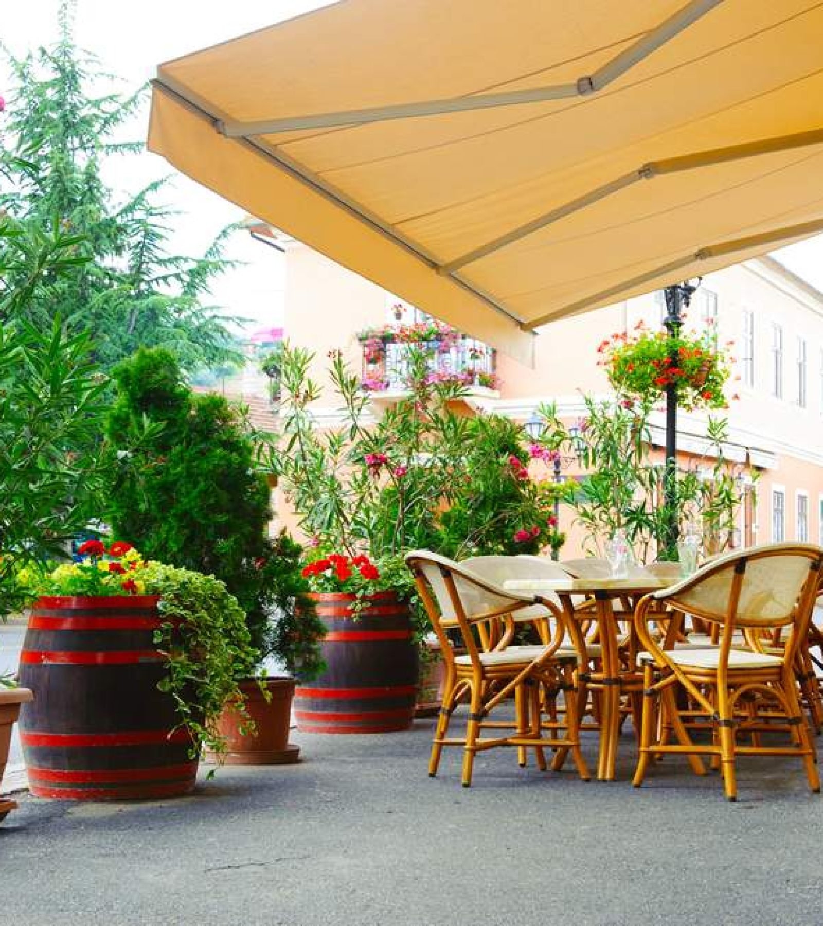 104_TOLDO_BRAZOS_EXTENSIBLE11