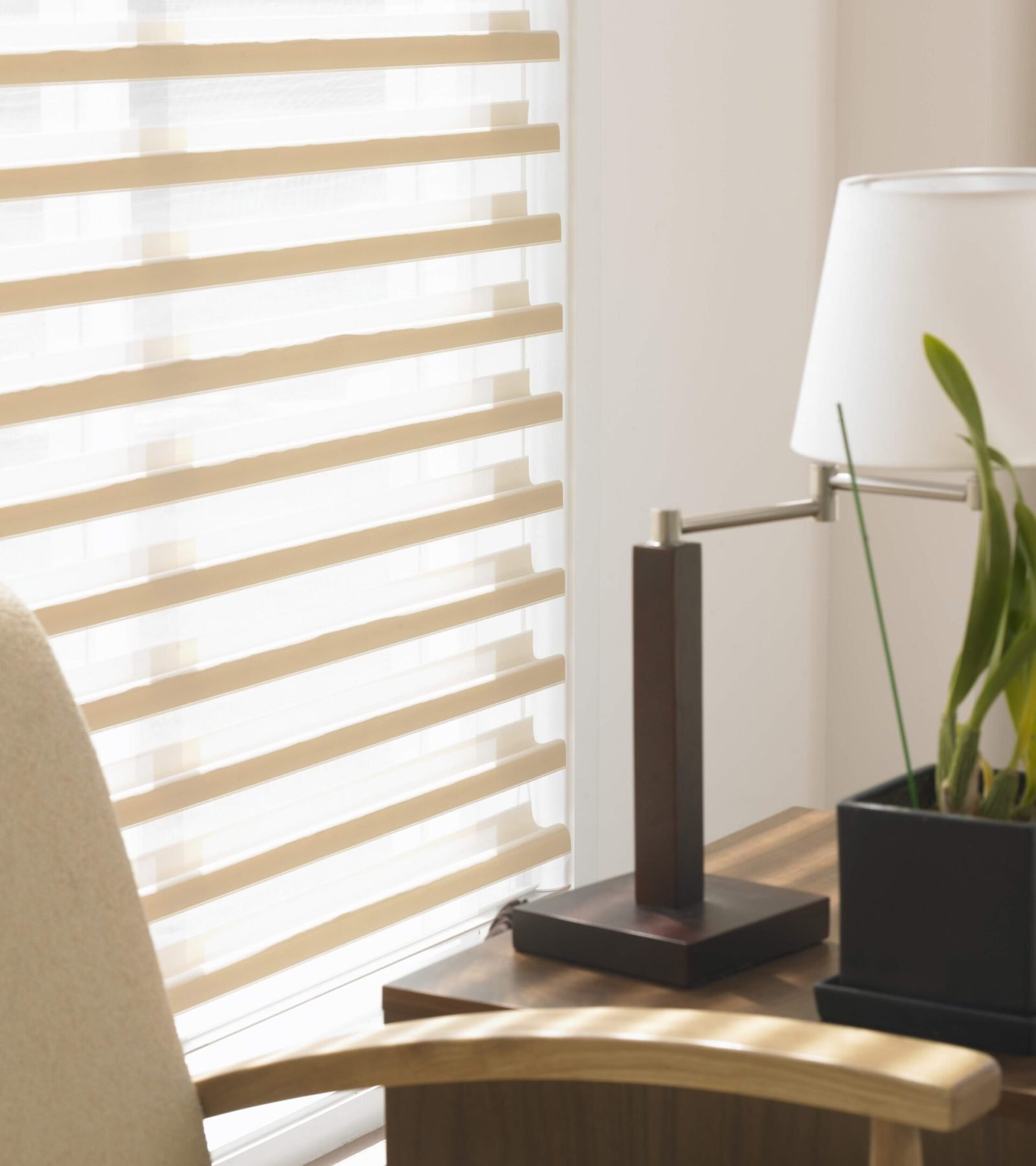 662_SHEERSIMPLICITY9