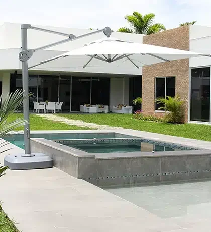 introduccion-sombrilla-palma